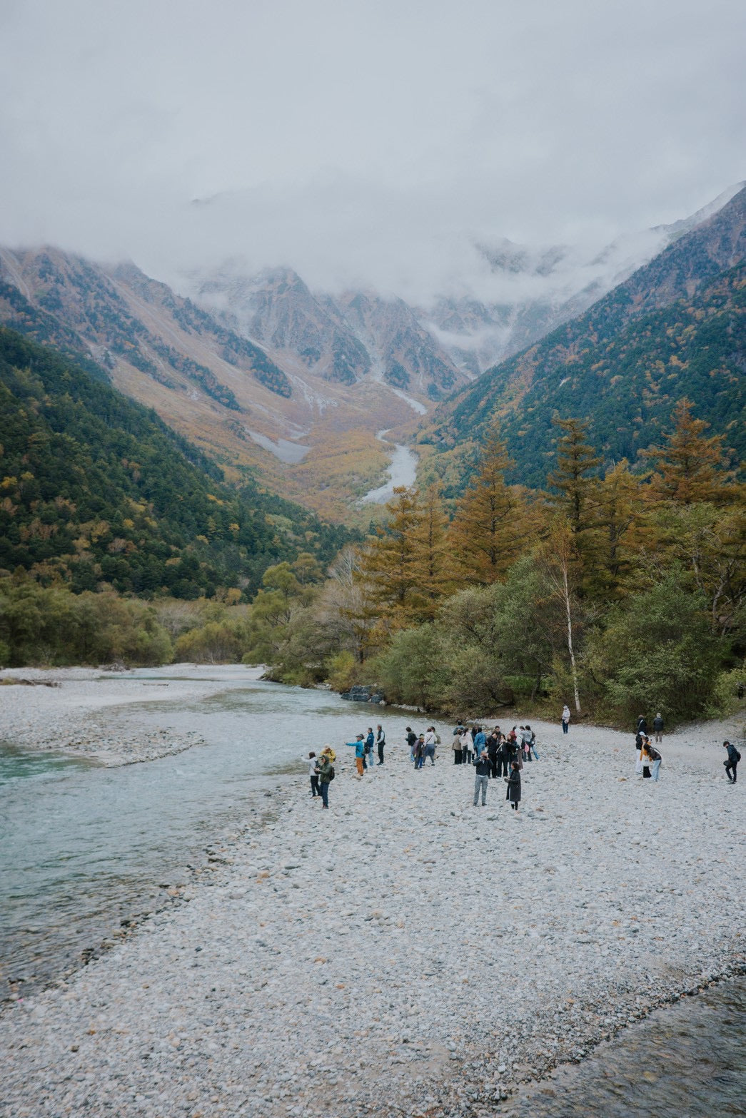 隠された風景：内なる花を発見する