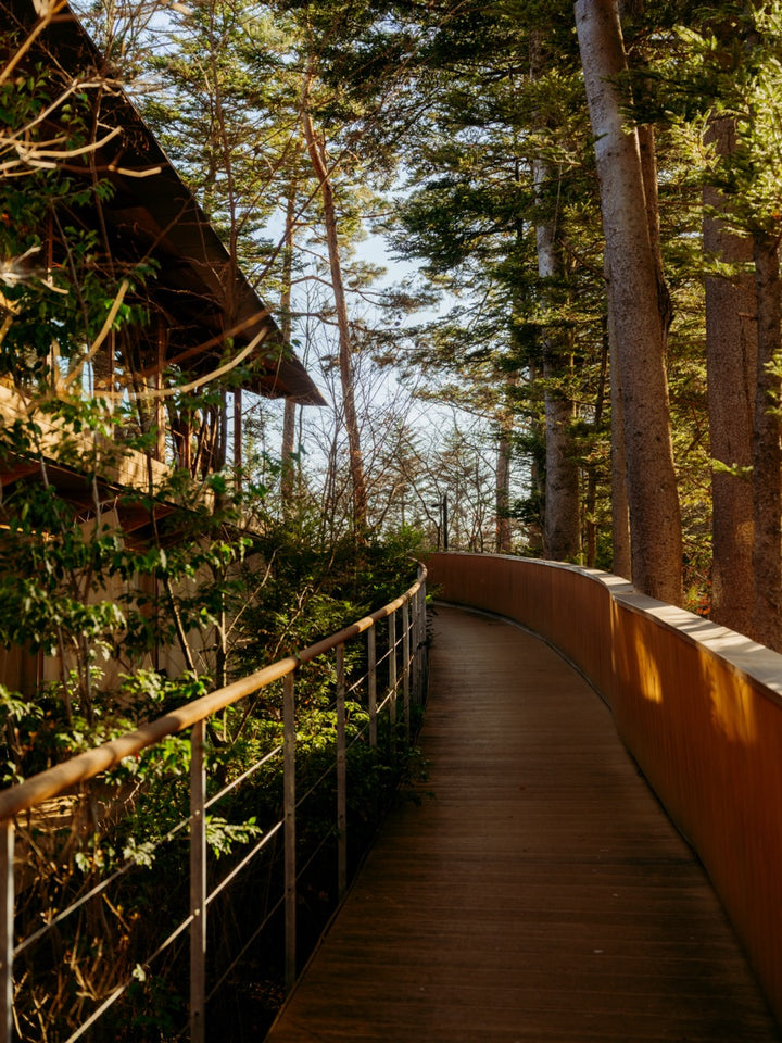 Architecture / Art Tour