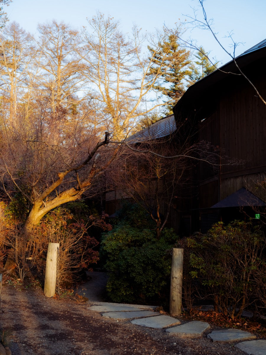 Architecture / Art Tour