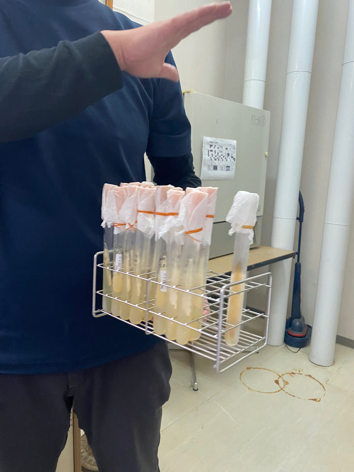 Sake Brewery Private Tour