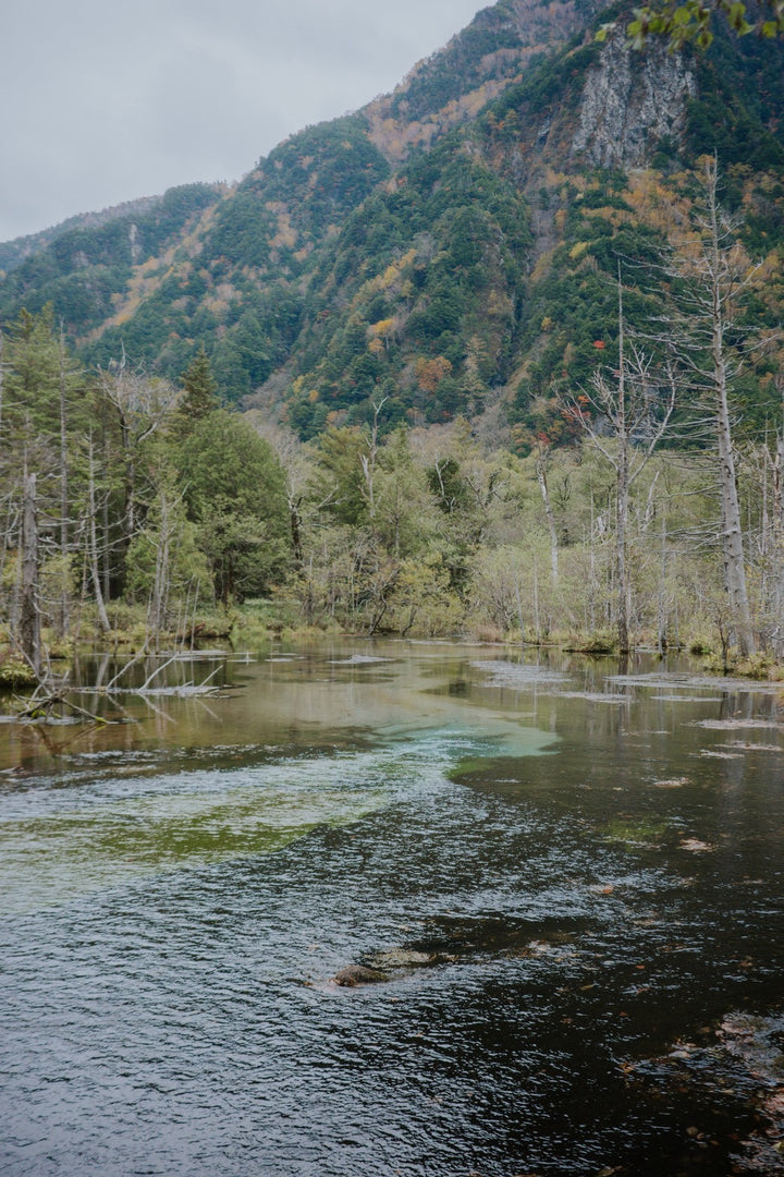 隠された風景：内なる花を発見する