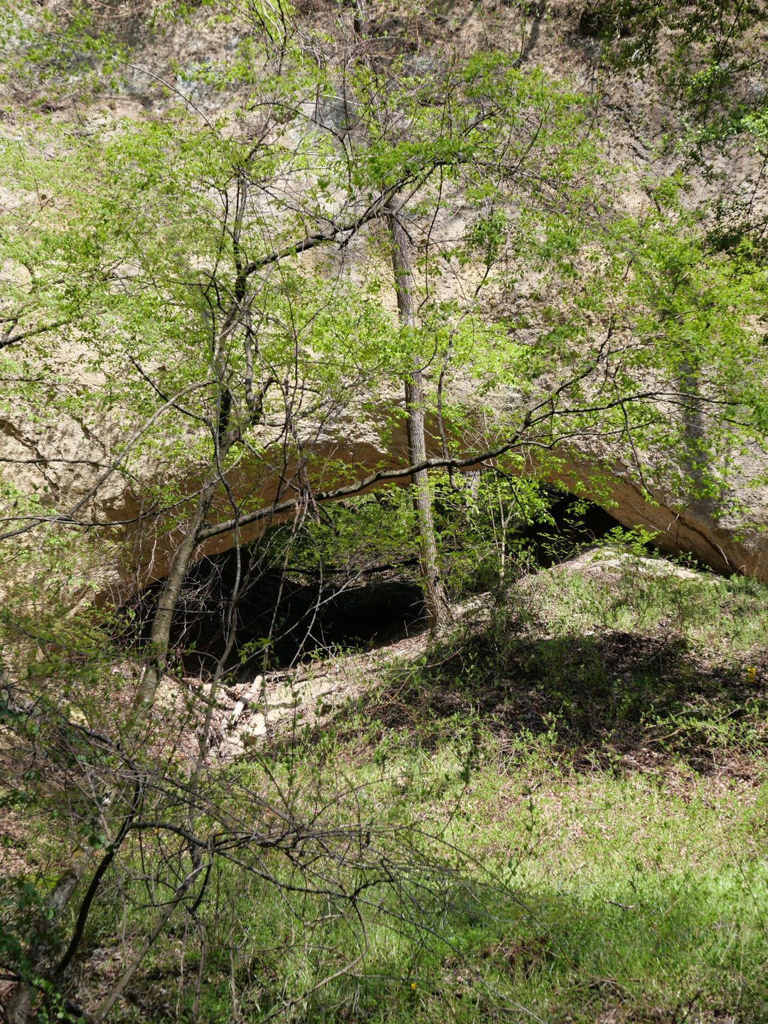 Mountain Foraging with Duca Farm (April - mid December)