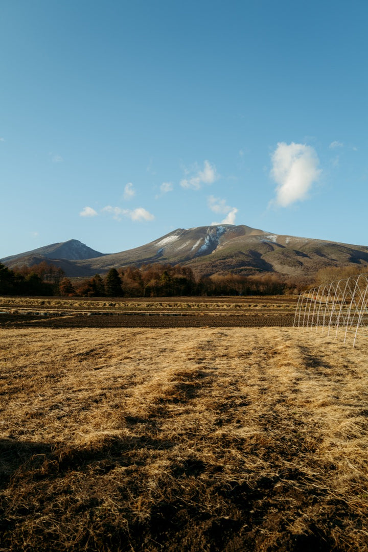 Ohinata Electric Bike Guided Tour (Late March - mid December)