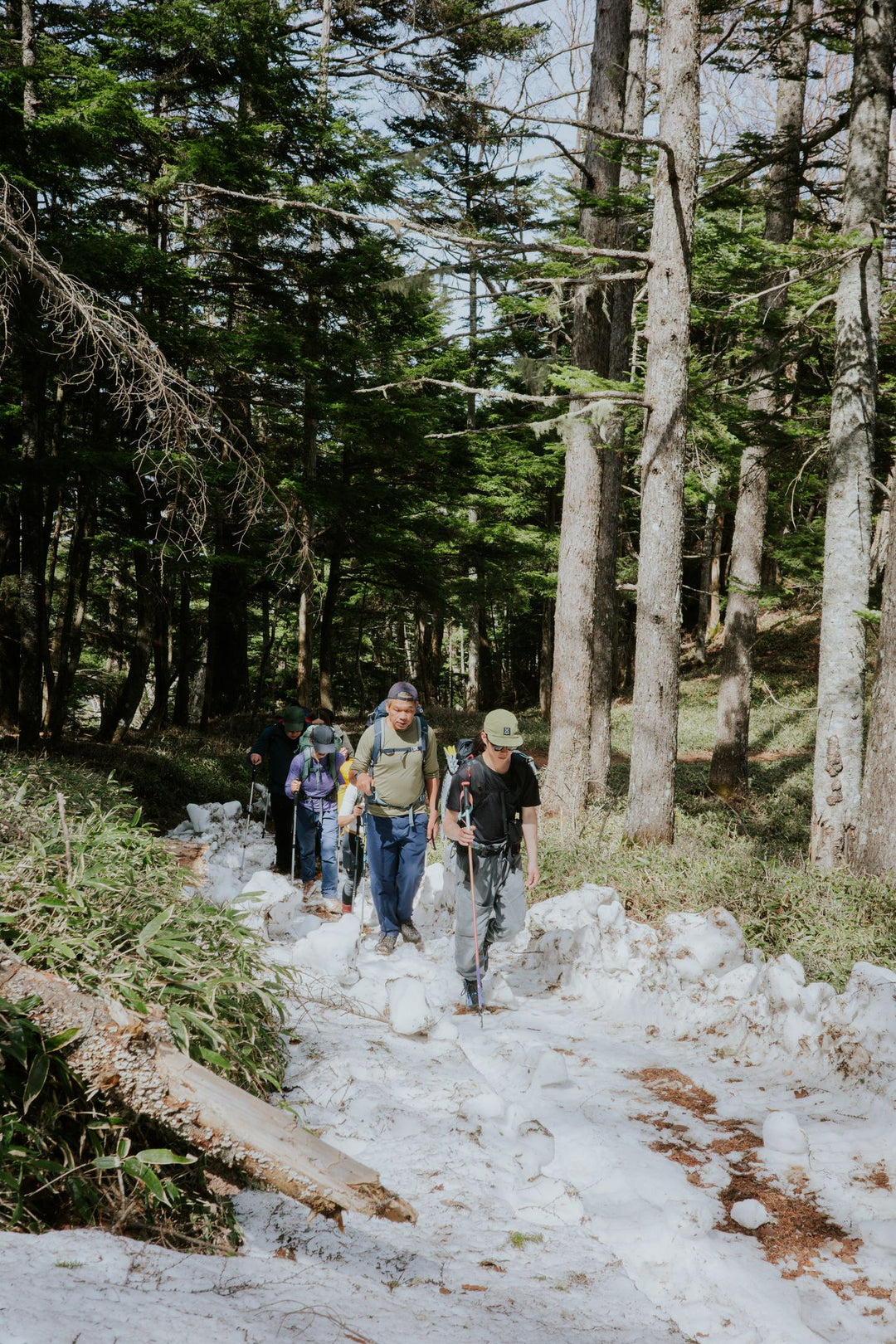 Yatsugatake Spring Trekking - Sakura in the Sky, April 2027