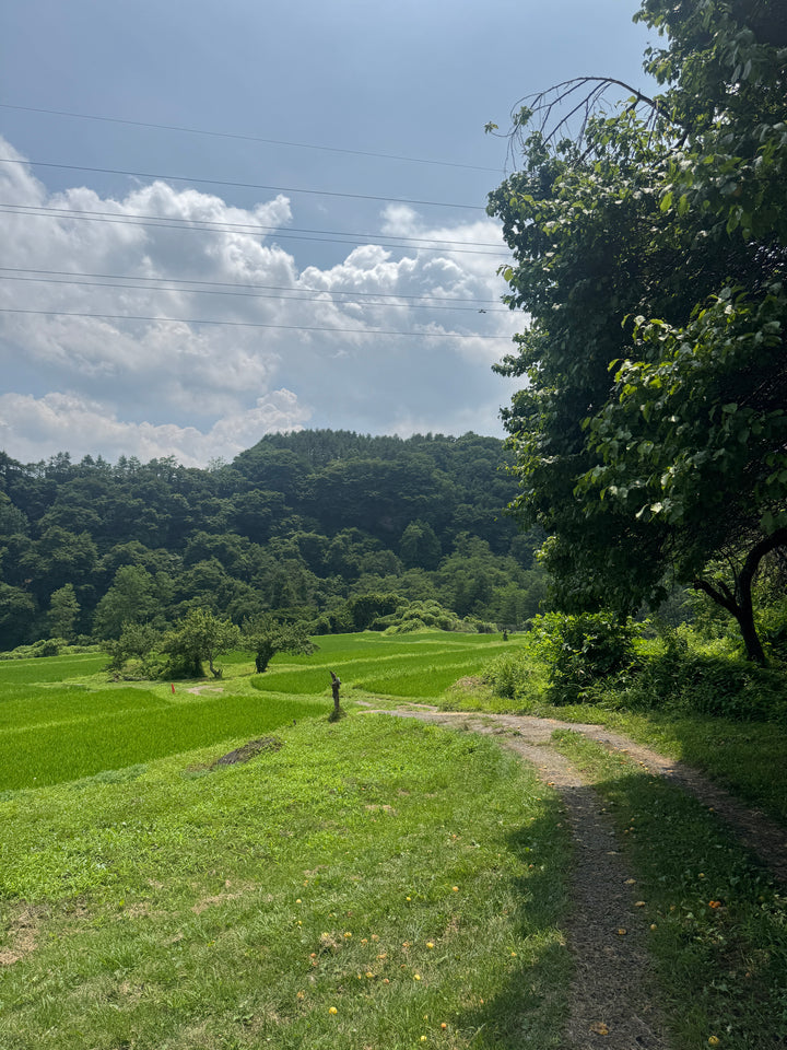 Sake Brewery Private Tour