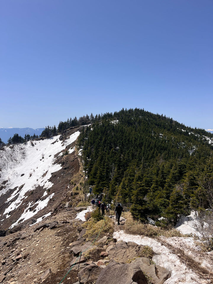 Yatsugatake Spring Trekking - Sakura in the Sky, April 2027