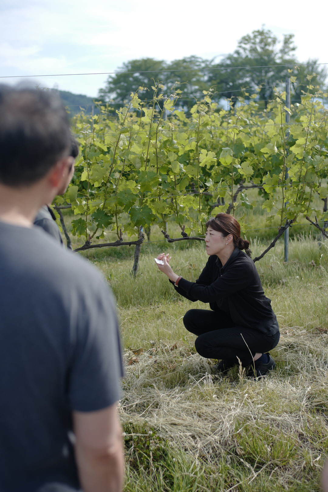 Wine & Farm Tour - The Best of Japan (Nagano & Yamanashi)