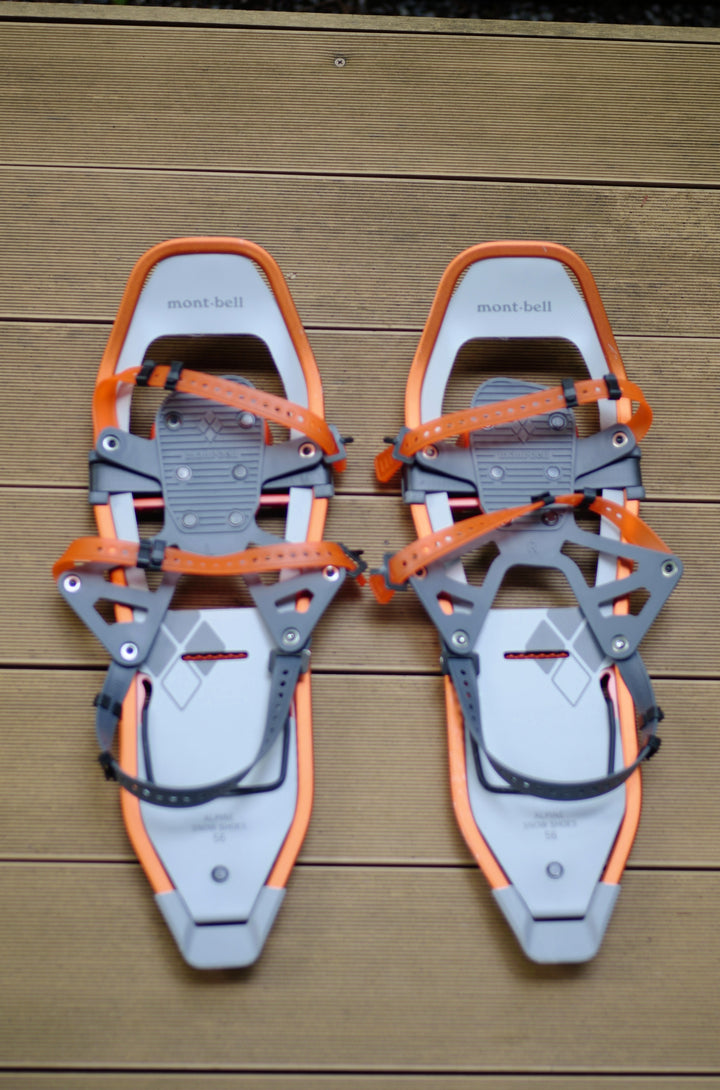 Winter Snowshoeing  (December - April)