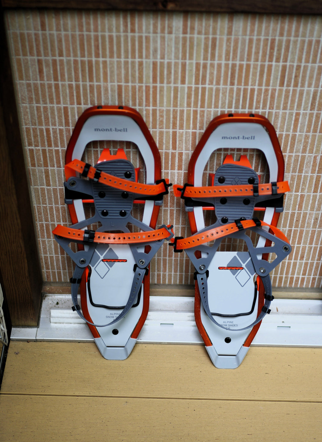 Winter Snowshoeing  (December - April)