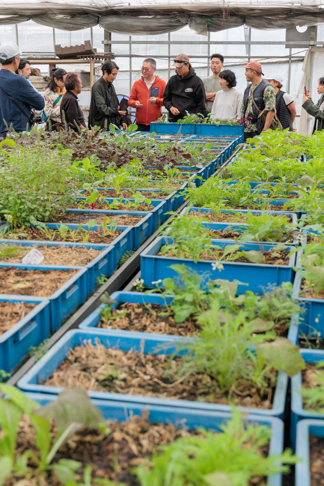 初開催 ワインツアー - 日本最高峰を巡る旅(長野・山梨)