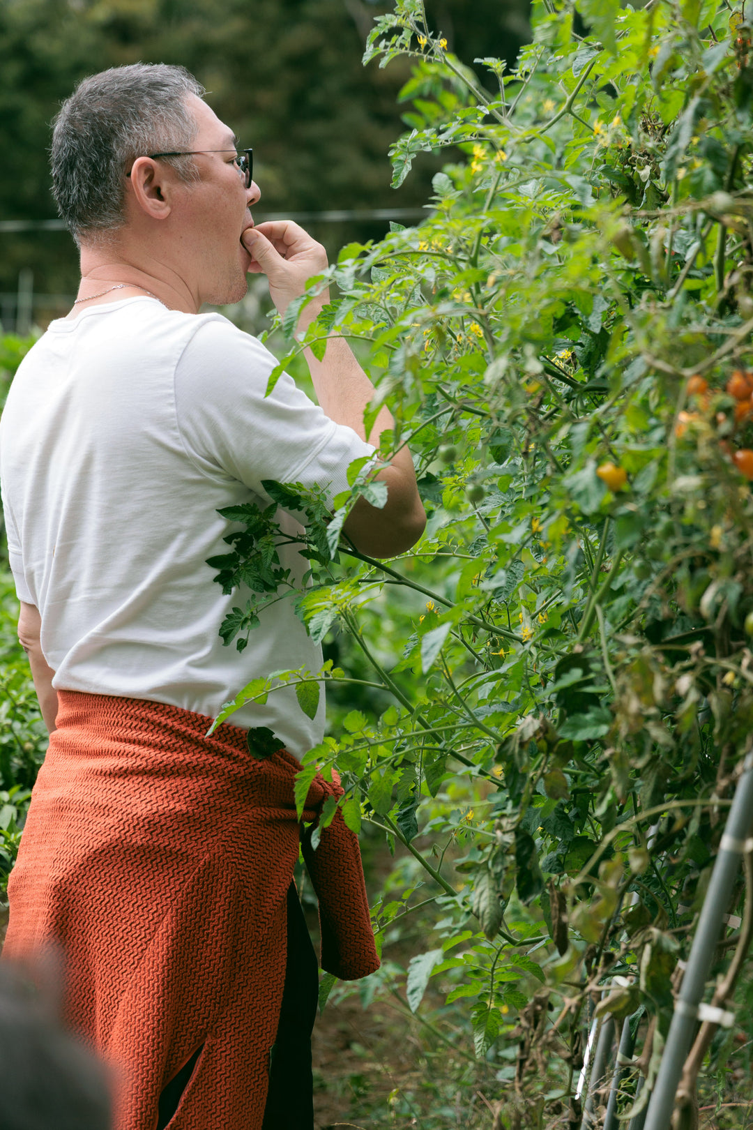 初開催 ワインツアー - 日本最高峰を巡る旅(長野・山梨)