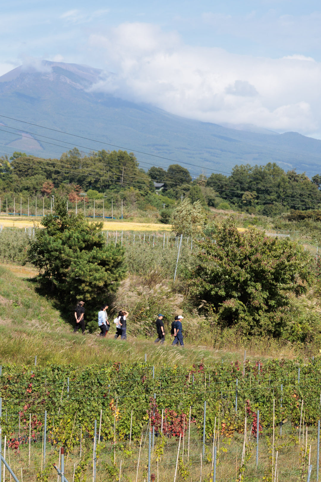 初開催 ワインツアー - 日本最高峰を巡る旅(長野・山梨)