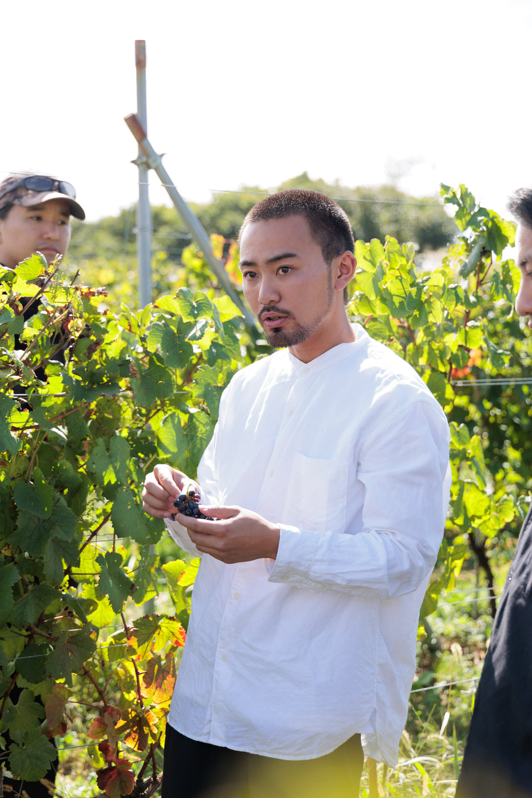 初開催 ワインツアー - 日本最高峰を巡る旅(長野・山梨)