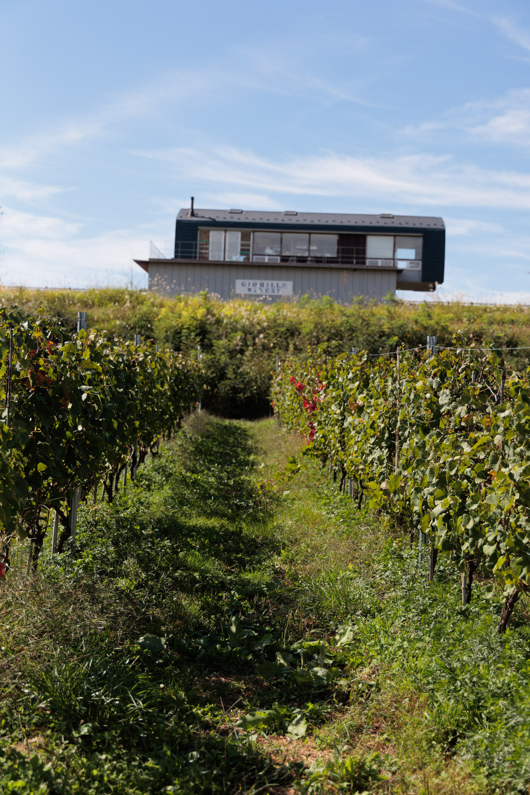 初開催 ワインツアー - 日本最高峰を巡る旅(長野・山梨)