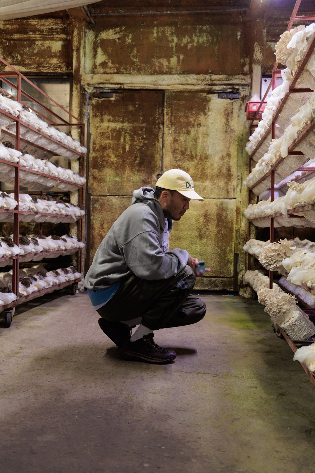 初開催 ワインツアー - 日本最高峰を巡る旅(長野・山梨)