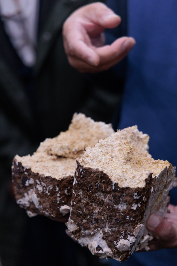 初開催 ワインツアー - 日本最高峰を巡る旅(長野・山梨)