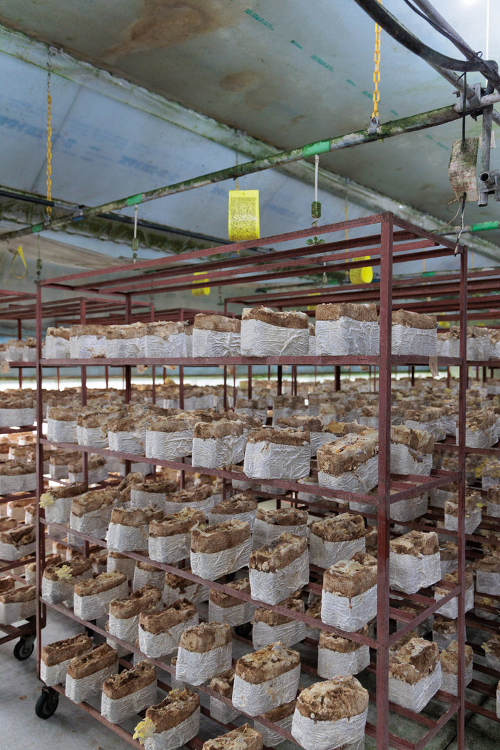 初開催 ワインツアー - 日本最高峰を巡る旅(長野・山梨)