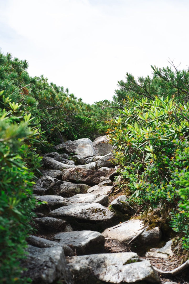Mount Kinpu, Japan's Yosemite