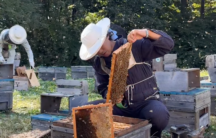 Ogihara Bee Farm Tour (April - October)