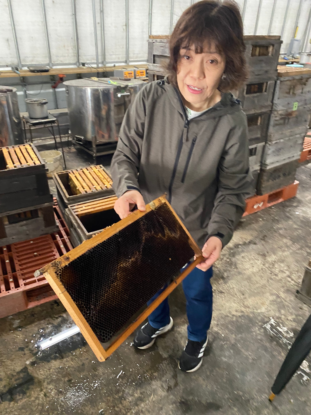 Ogihara Bee Farm Tour (April - October)