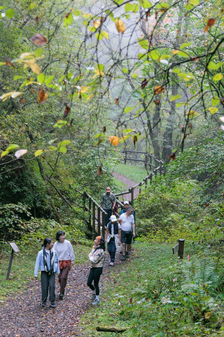 Sengataki Waterfall Walk