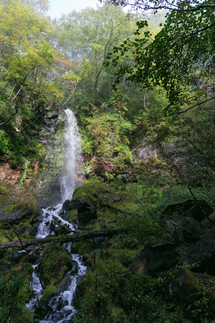 Sengataki Waterfall Walk