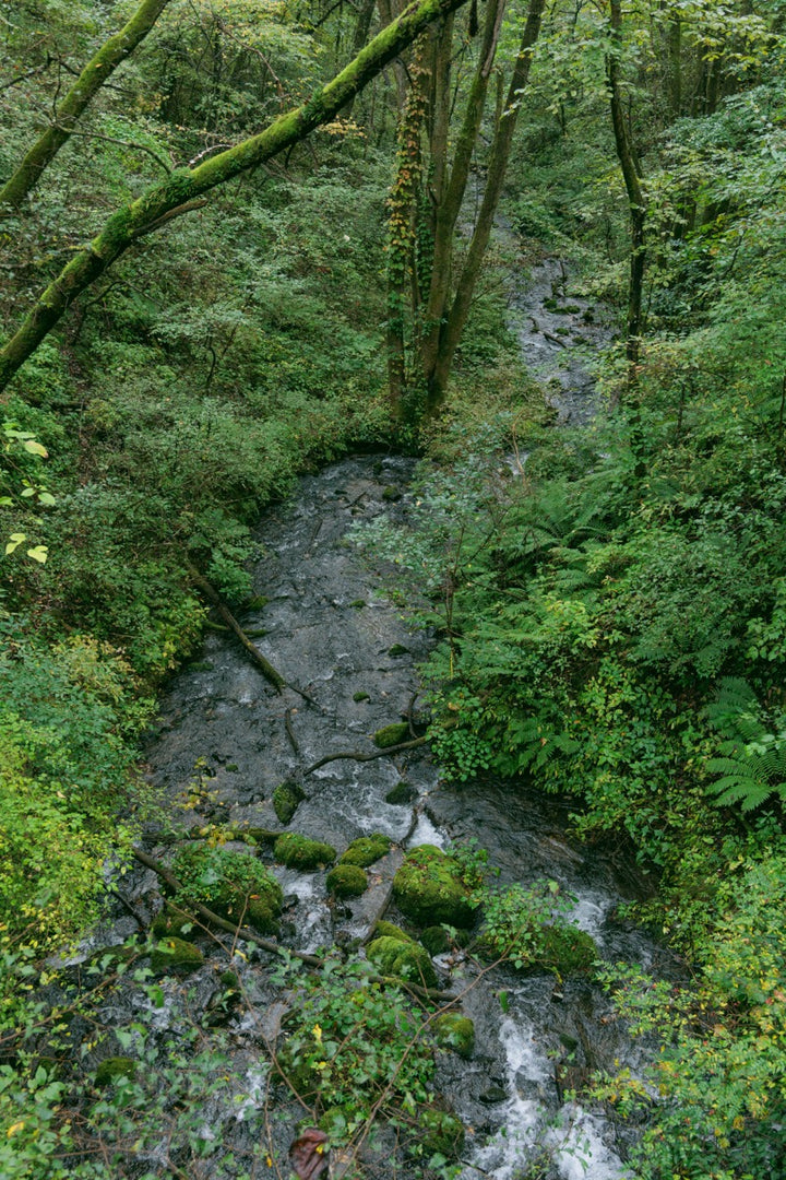 Sengataki Waterfall Walk