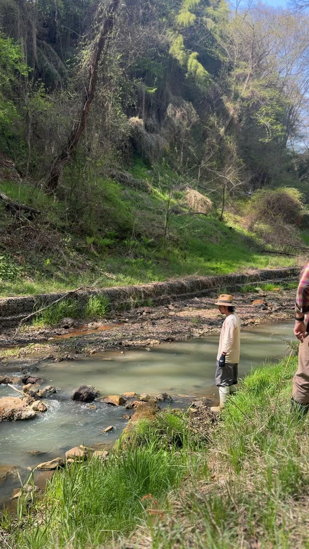 Mountain Foraging with Duca Farm (April - mid December)