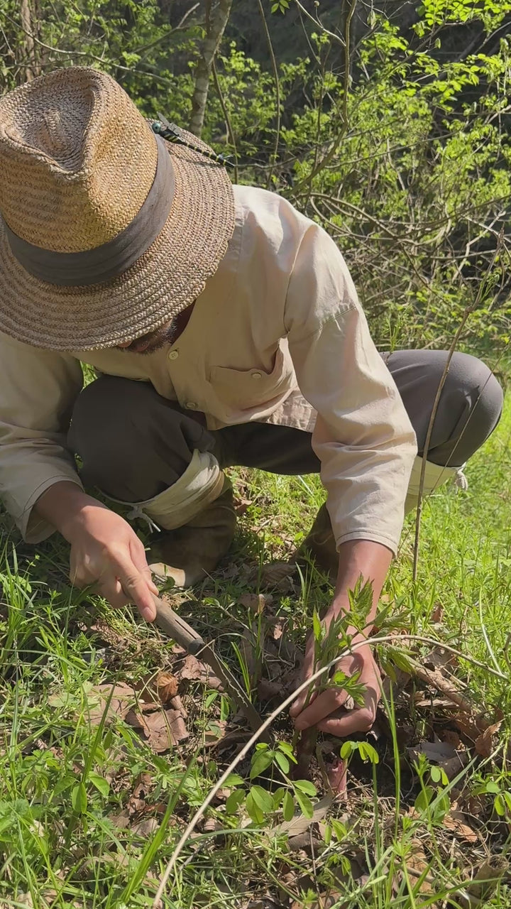 Mountain Foraging with Duca Farm (April - mid December)